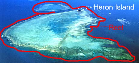 Birs eye view of Heron Island reef 28KB