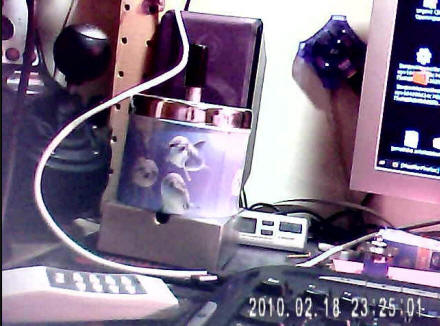 Sample blue-purple video frame